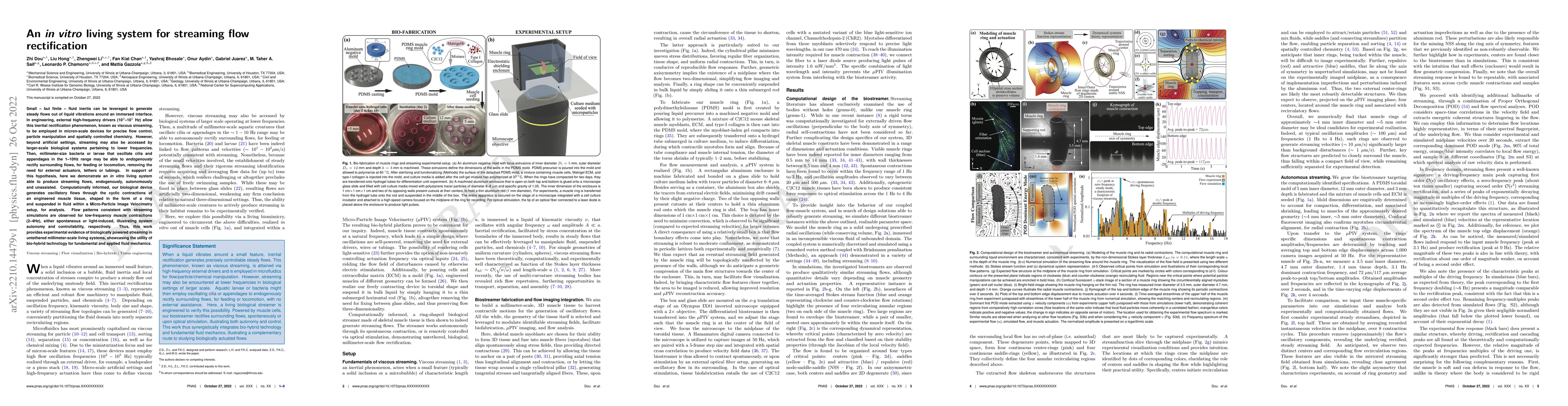 Thumbnail for An in vitro living system for flow rectification