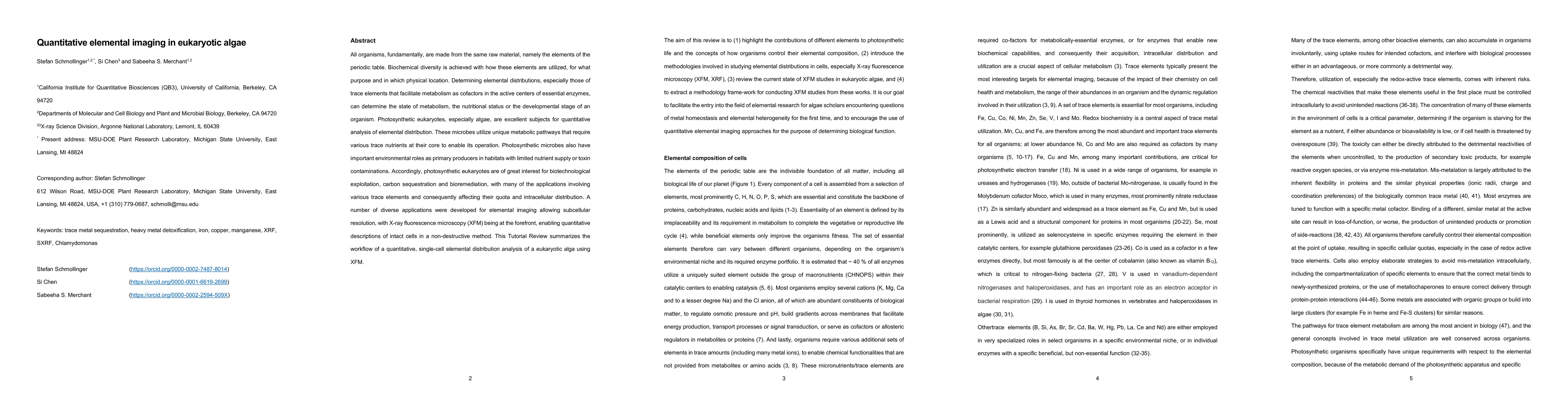 Thumbnail for Quantitative elemental imaging in eukaryotic algae