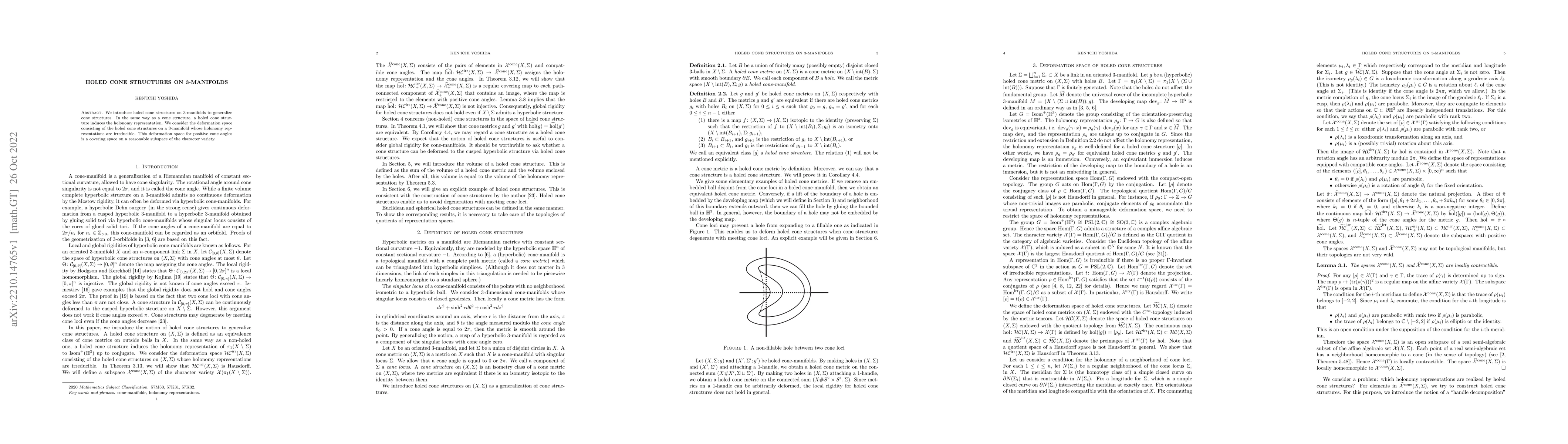 Thumbnail for Holed cone structures on 3-manifolds
