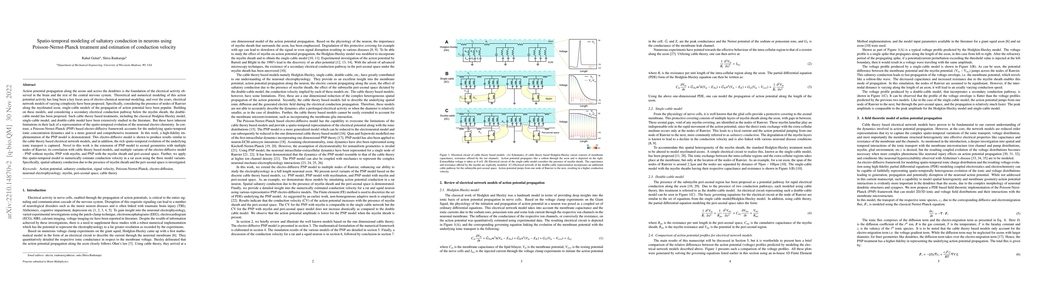 Thumbnail for Spatio-temporal modeling of saltatory conduction in neurons using
  Poisson-Nernst-Planck treatment and estimation of conduction velocity