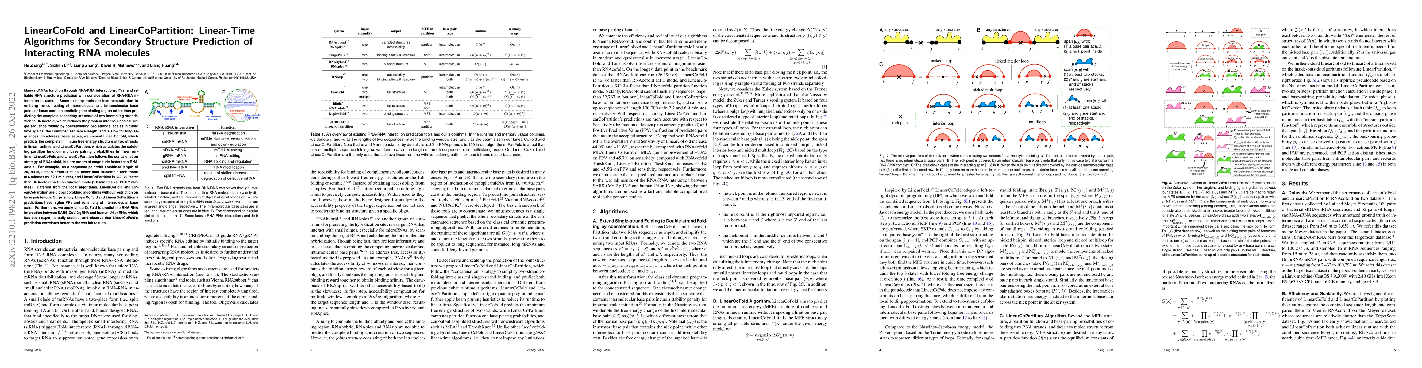 Thumbnail for LinearCoFold and LinearCoPartition: Linear-Time Algorithms for Secondary
  Structure Prediction of Interacting RNA molecules