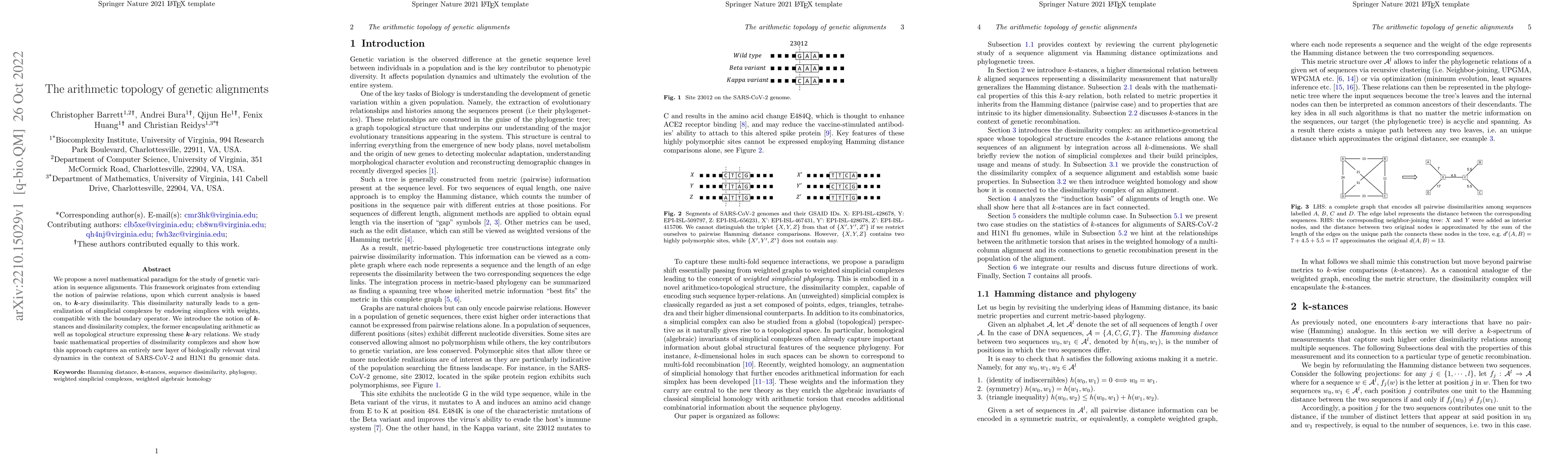 Thumbnail for The arithmetic topology of genetic alignments