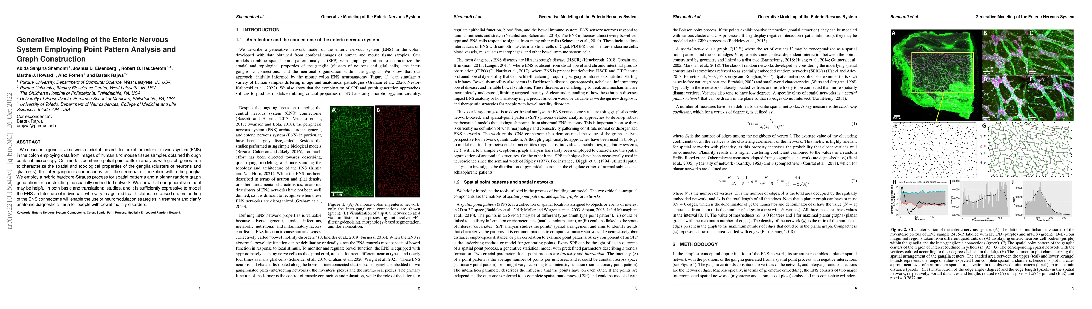 Thumbnail for Generative modeling of the enteric nervous system employing point
  pattern analysis and graph construction