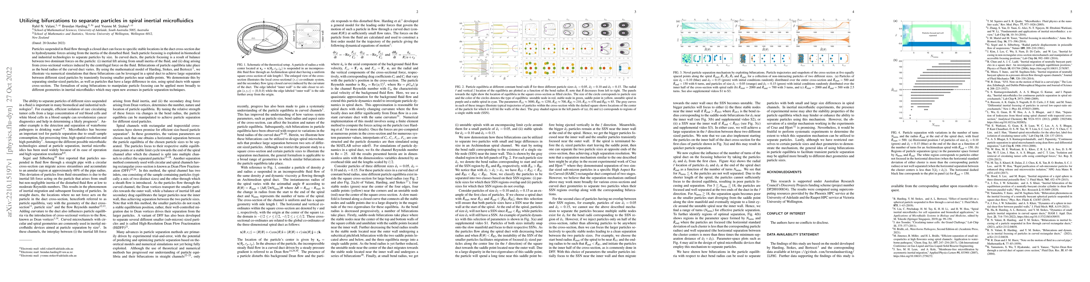 Thumbnail for Utilizing bifurcations to separate particles in spiral inertial
  microfluidics