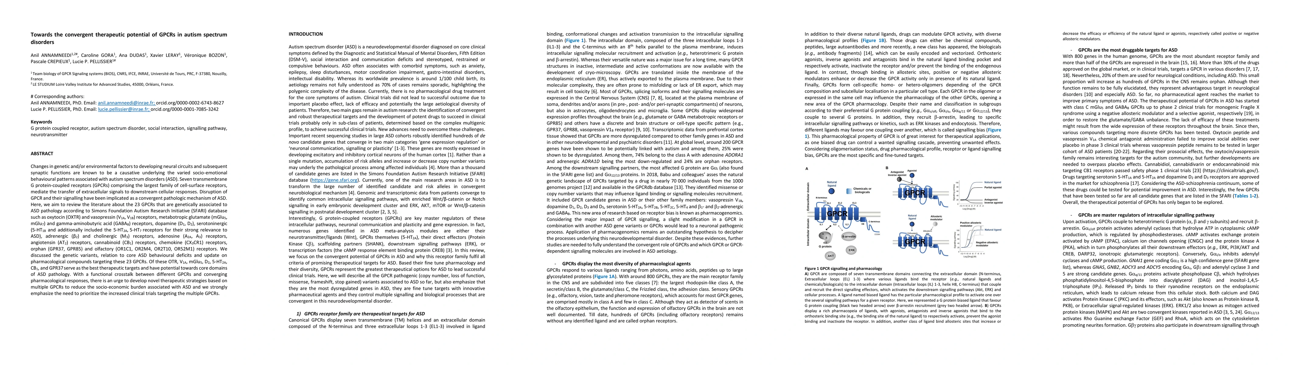 Thumbnail for Towards the convergent therapeutic potential of GPCRs in autism spectrum
  disorders