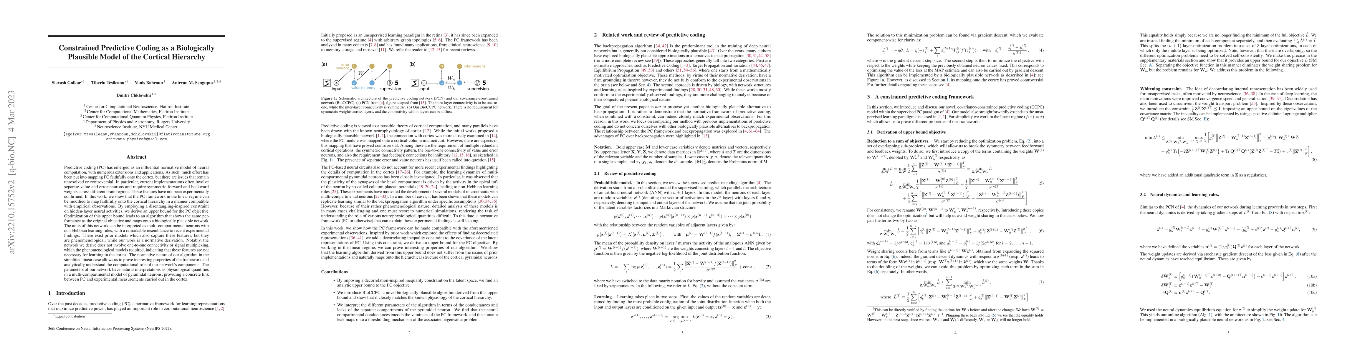 Thumbnail for Constrained Predictive Coding as a Biologically Plausible Model of the
  Cortical Hierarchy