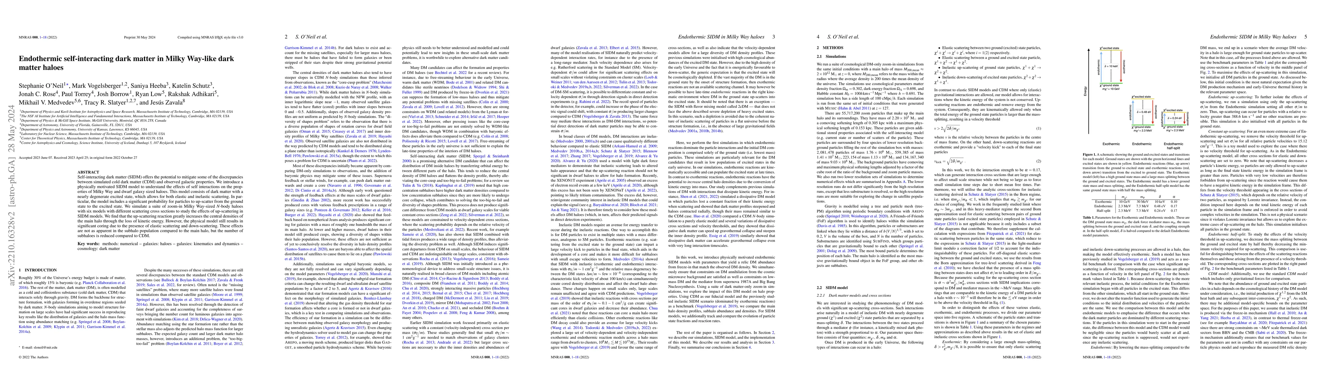 Thumbnail for Endothermic self-interacting dark matter in Milky Way-like dark matter
  haloes