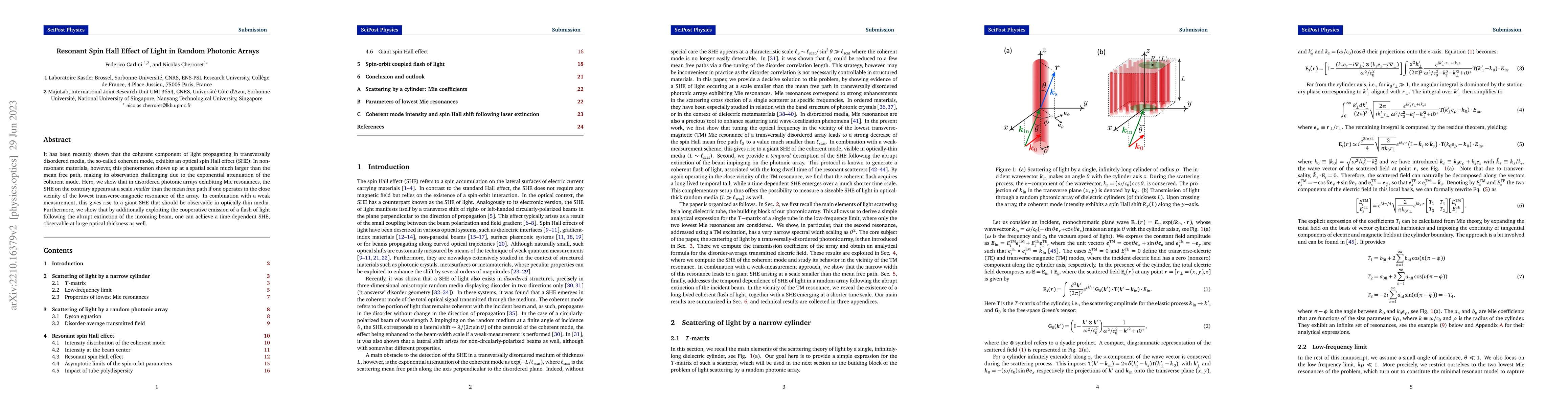 Thumbnail for Resonant Spin Hall Effect of Light in Random Photonic Arrays