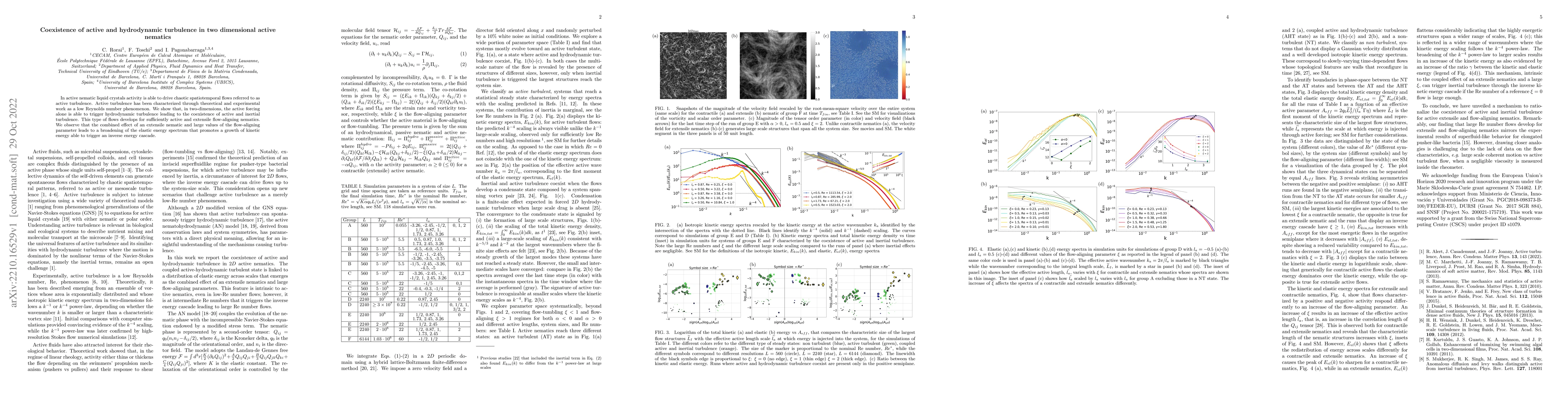 Thumbnail for Coexistence of active and hydrodynamic turbulence in two dimensional
  active nematics