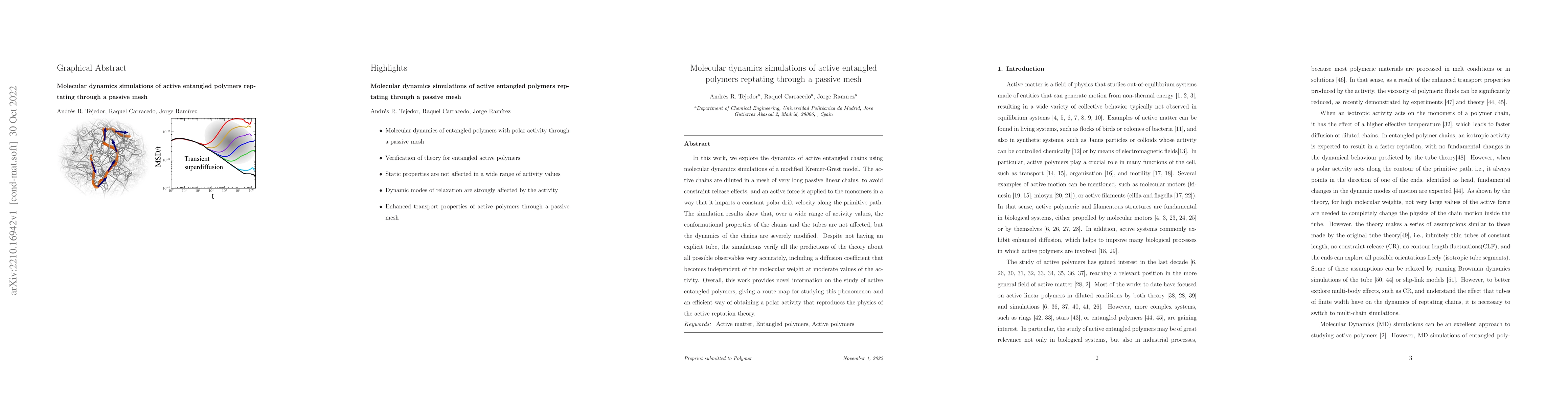 Thumbnail for Molecular dynamics simulations of active entangled polymers reptating
  through a passive mesh