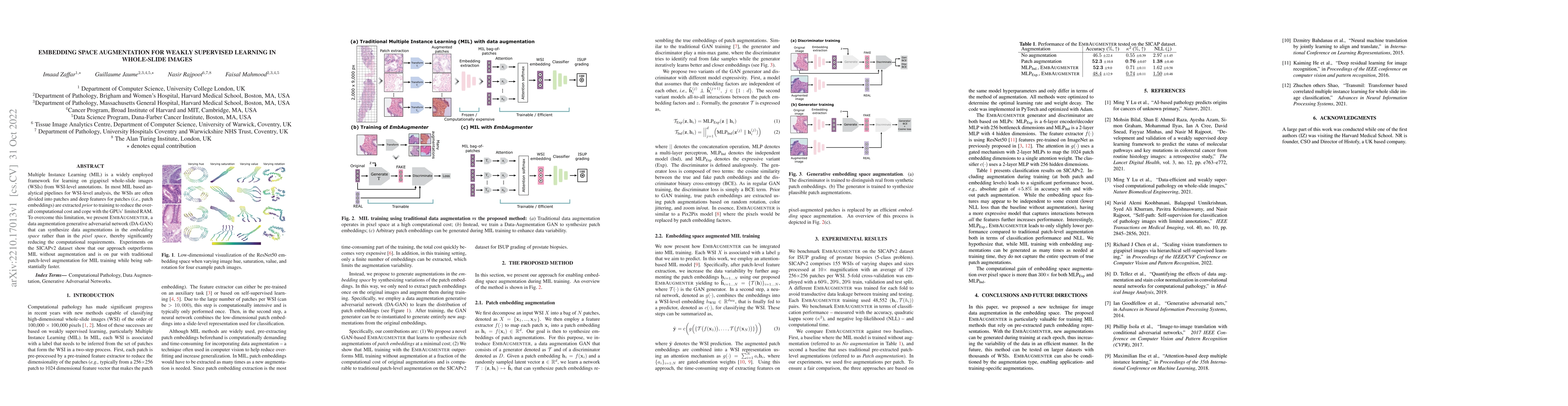 Thumbnail for Embedding Space Augmentation for Weakly Supervised Learning in
  Whole-Slide Images