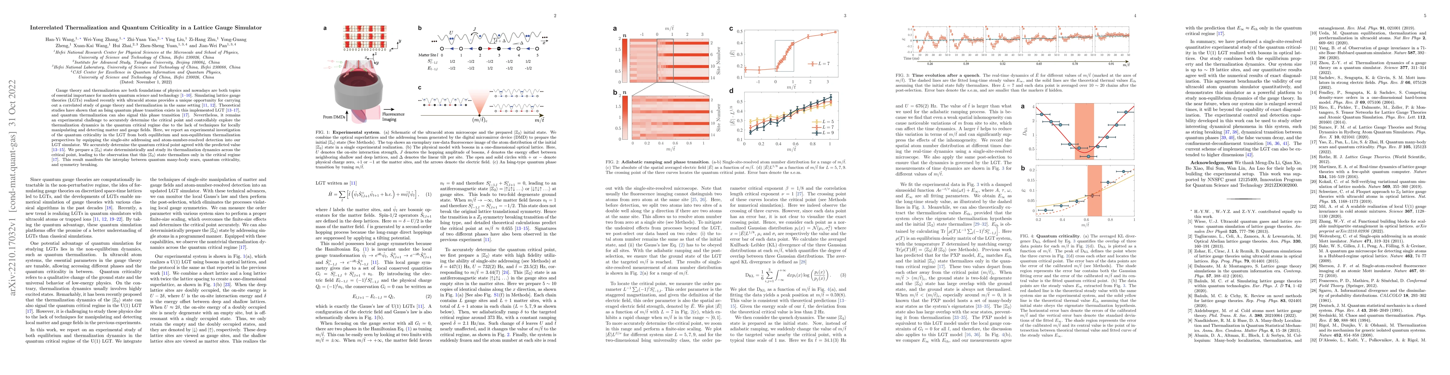 Thumbnail for Interrelated Thermalization and Quantum Criticality in a Lattice Gauge
  Simulator