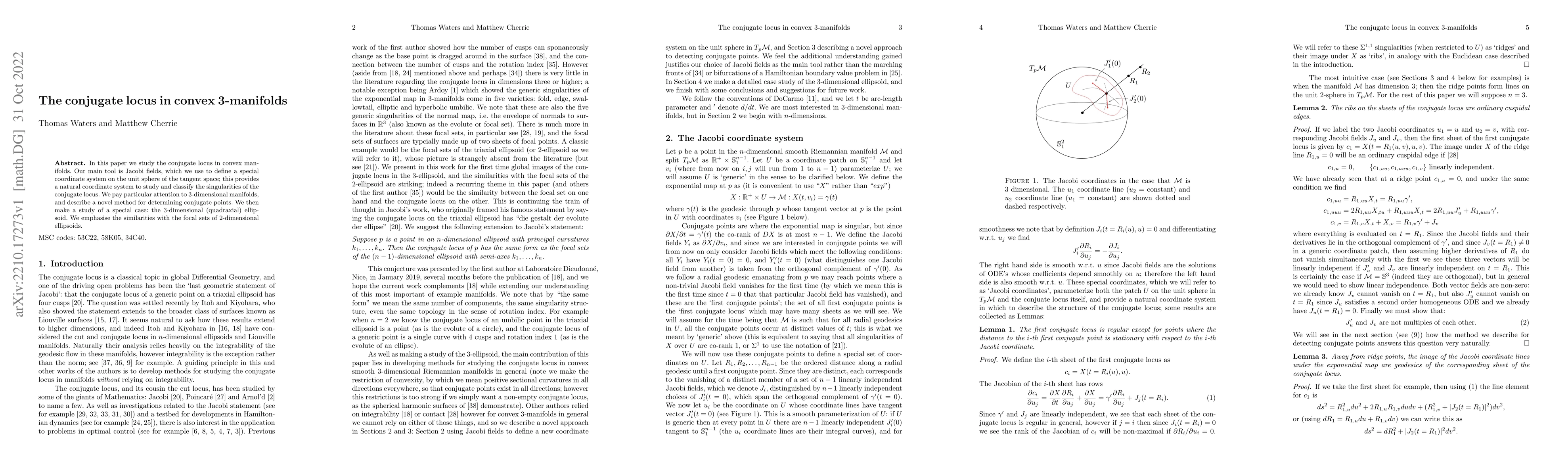Thumbnail for The conjugate locus in convex 3-manifolds