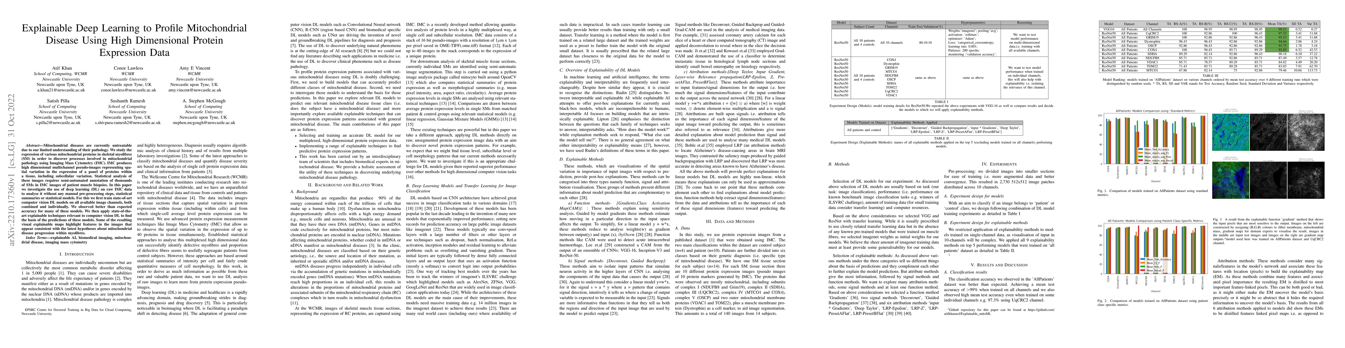 Thumbnail for Explainable Deep Learning to Profile Mitochondrial Disease Using High
  Dimensional Protein Expression Data