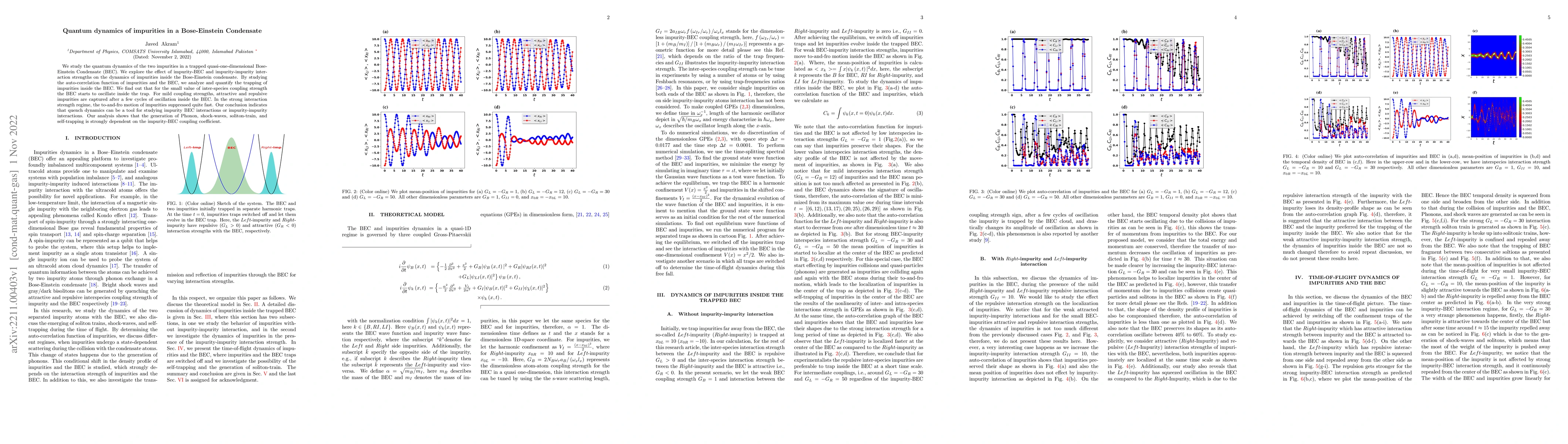 Thumbnail for Quantum dynamics of impurities in a Bose-Einstein condensate