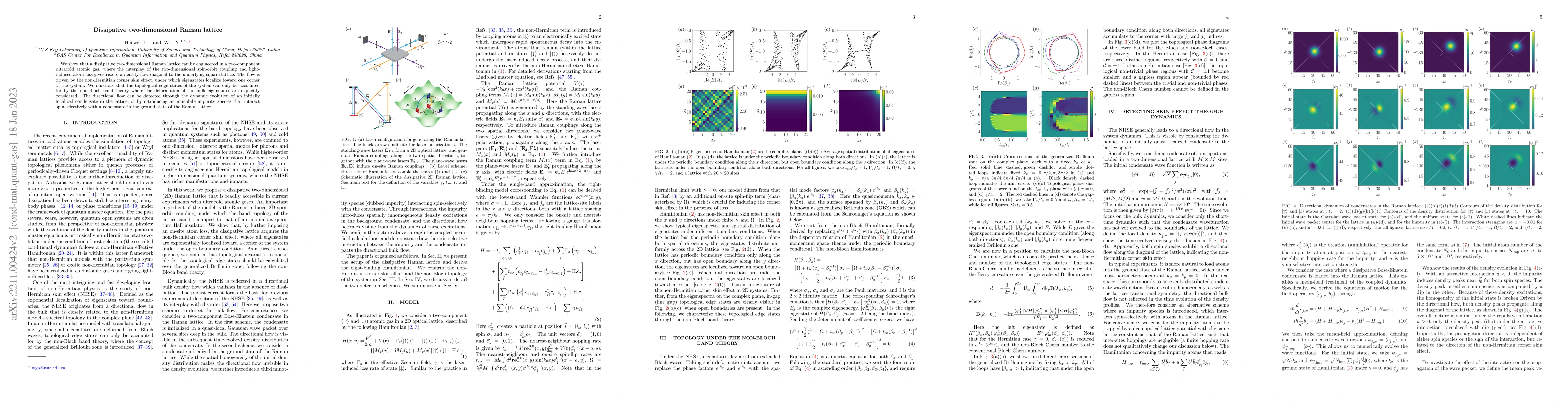 Thumbnail for Dissipative two-dimensional Raman lattice