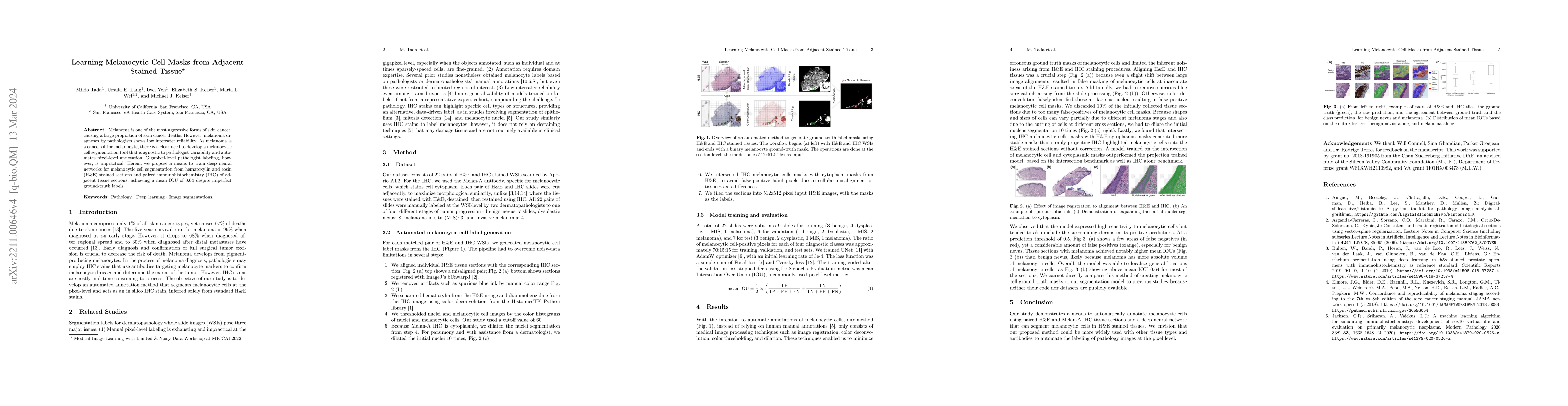 Thumbnail for Learning Melanocytic Cell Masks from Adjacent Stained Tissue