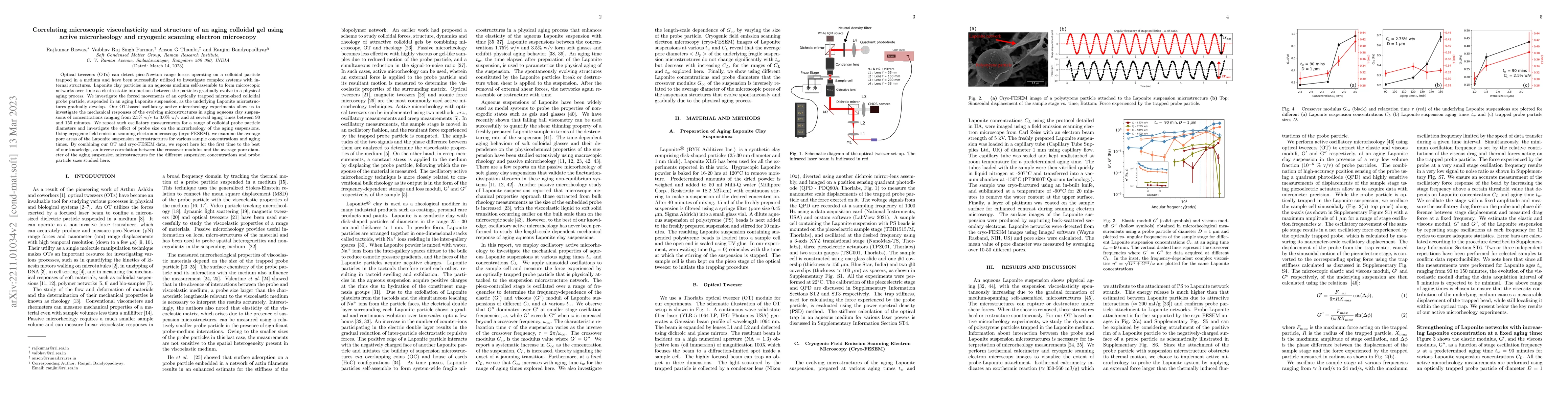 Thumbnail for Correlating microscopic viscoelasticity and structure of an aging
  colloidal gel using active microrheology and cryogenic scanning electron
  microscopy