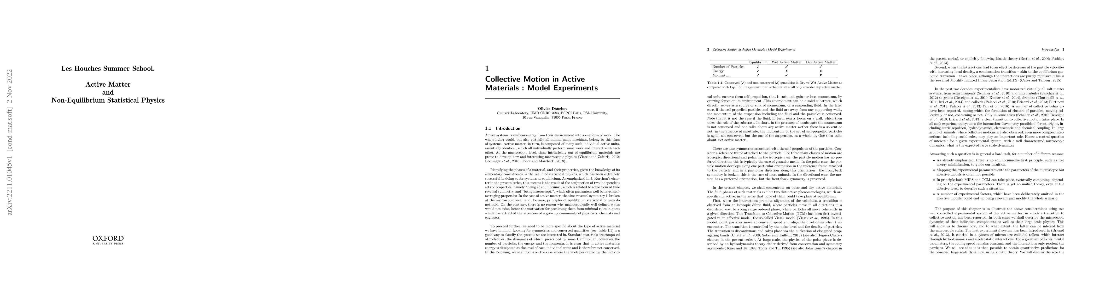 Thumbnail for Collective Motion in Active Materials: Model Experiments
