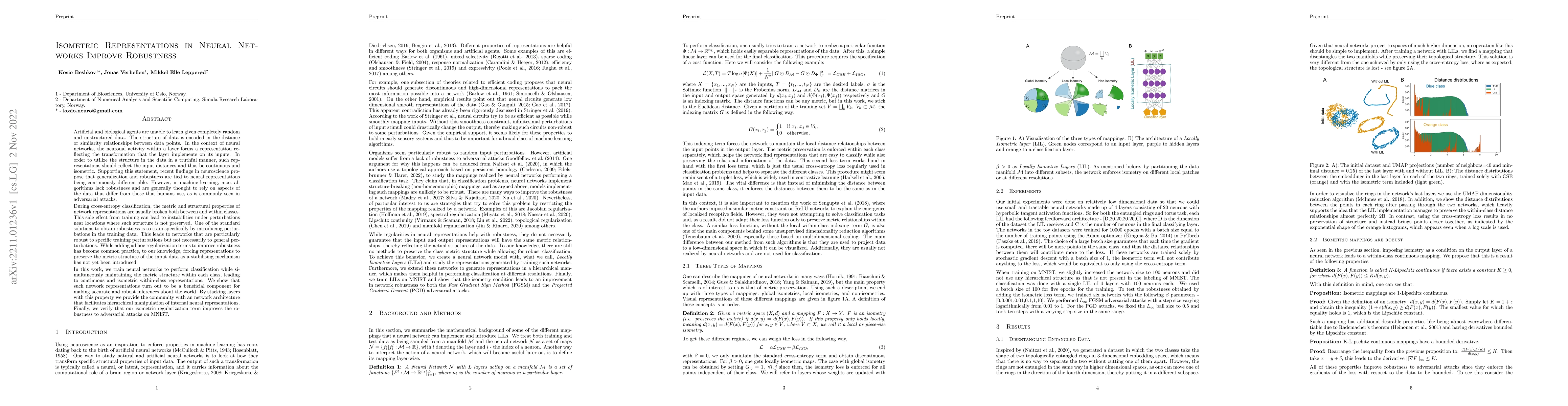 Thumbnail for Isometric Representations in Neural Networks Improve Robustness