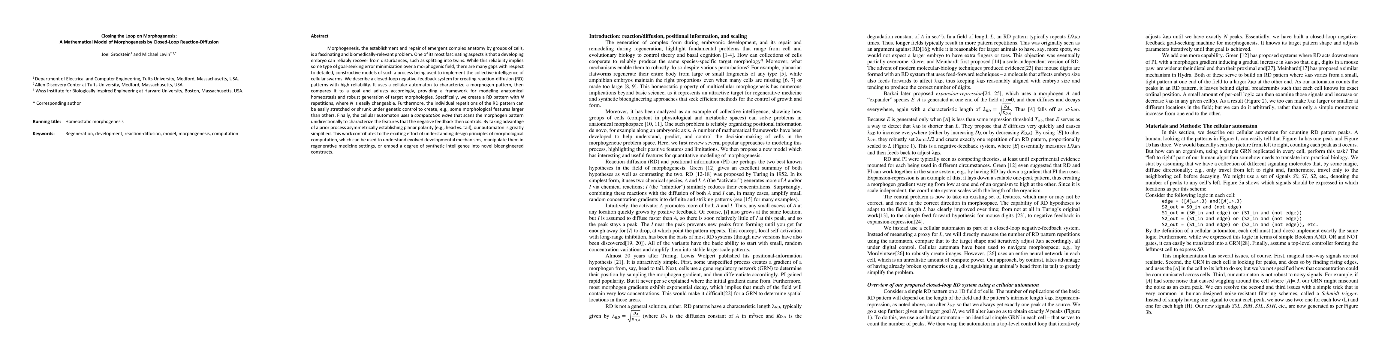 Thumbnail for Closing the Loop on Morphogenesis: A Mathematical Model of Morphogenesis
  by Closed-Loop Reaction-Diffusion