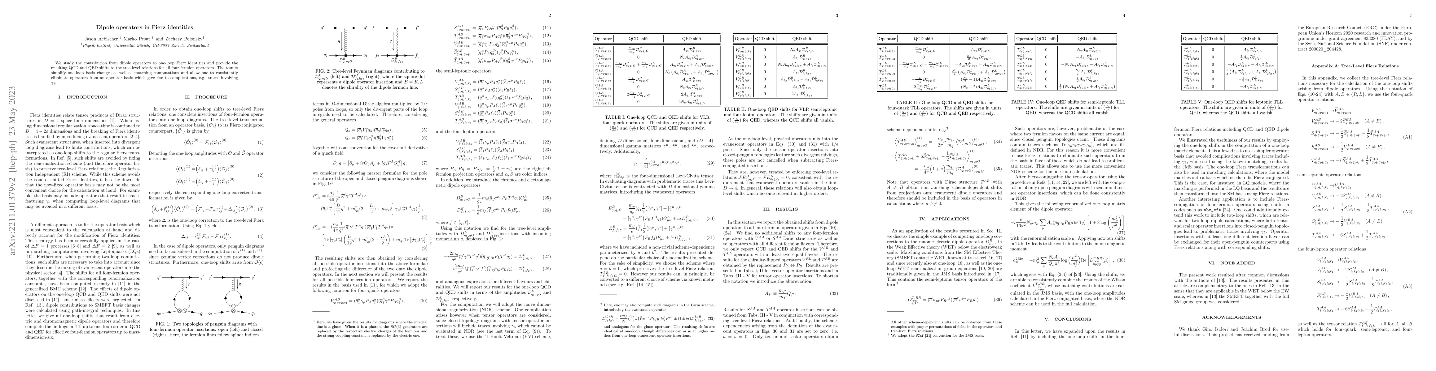 Thumbnail for Dipole operators in Fierz identities