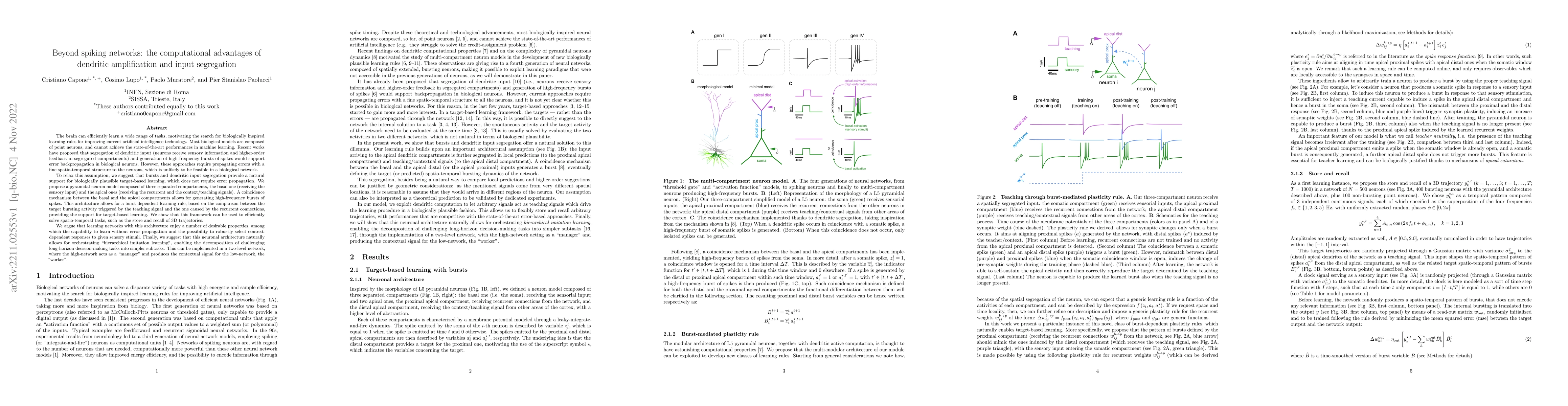 Thumbnail for Beyond spiking networks: the computational advantages of dendritic
  amplification and input segregation