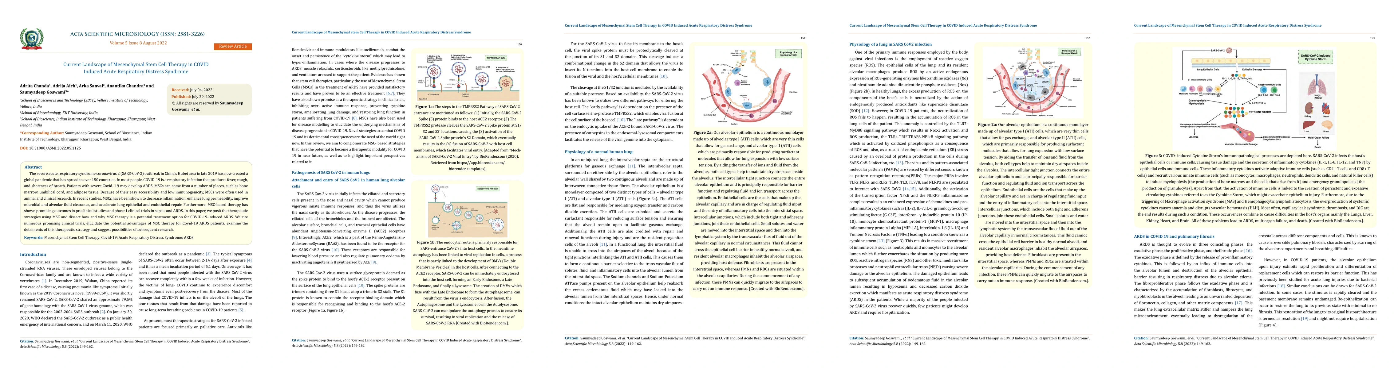 Thumbnail for Current Landscape of Mesenchymal Stem Cell Therapy in COVID Induced
  Acute Respiratory Distress Syndrome