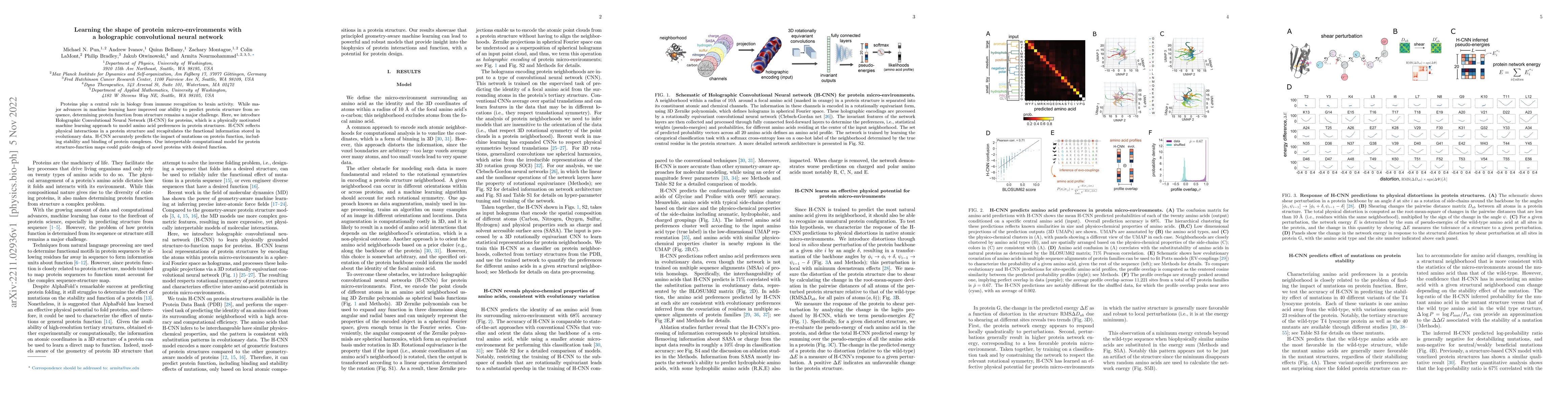 Thumbnail for Learning the shape of protein micro-environments with a holographic
  convolutional neural network