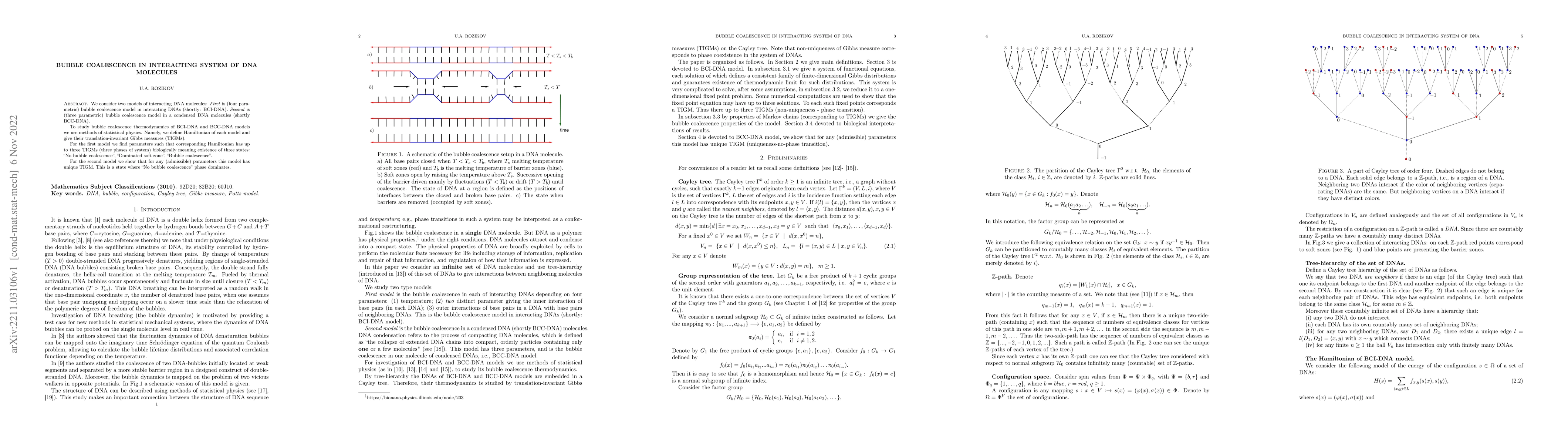 Thumbnail for Bubble coalescence in interacting system of DNA molecules