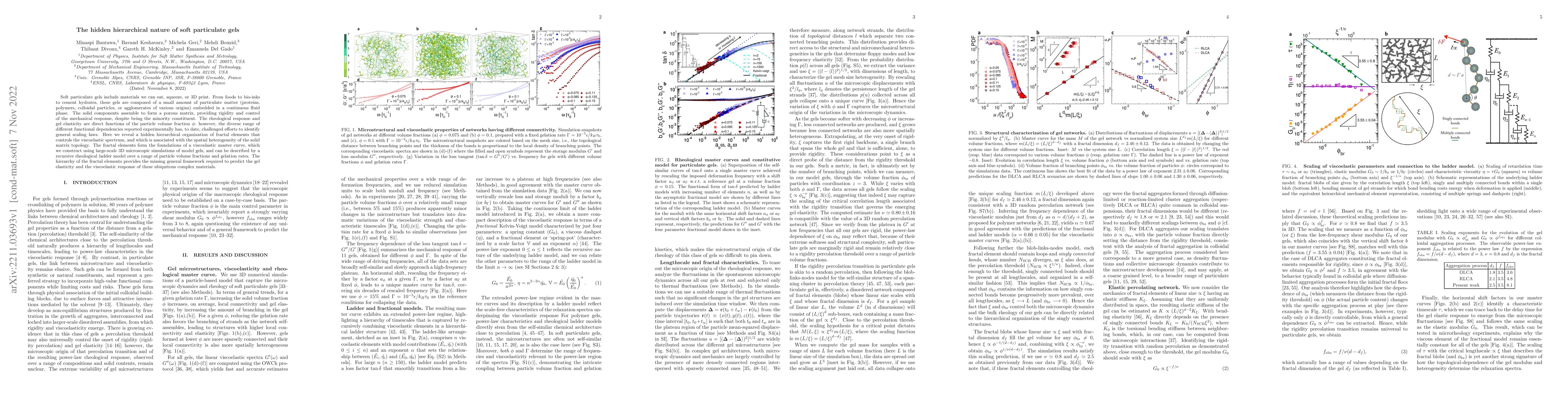 Thumbnail for The hidden hierarchical nature of soft particulate gels