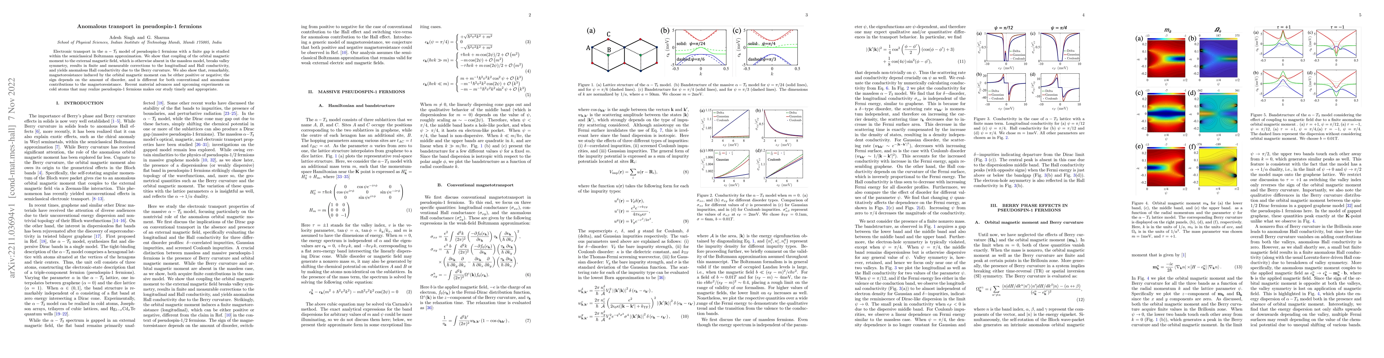 Thumbnail for Anomalous transport in pseudospin-1 fermions