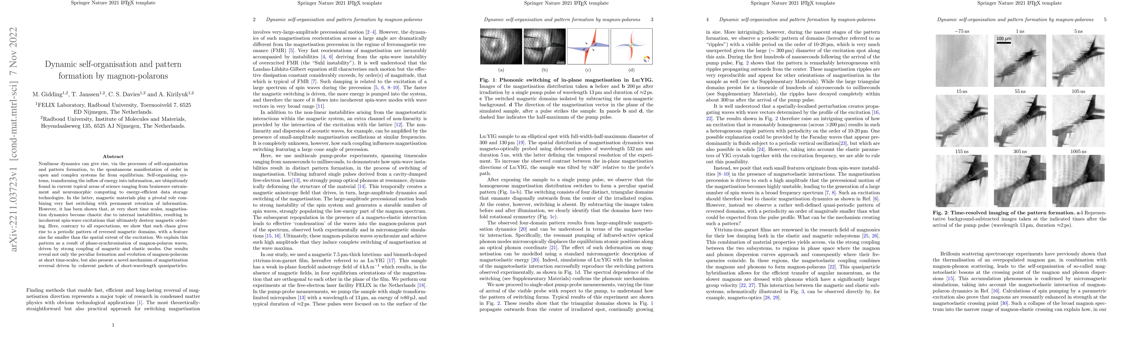 Thumbnail for Dynamic self-organisation and pattern formation by magnon-polarons