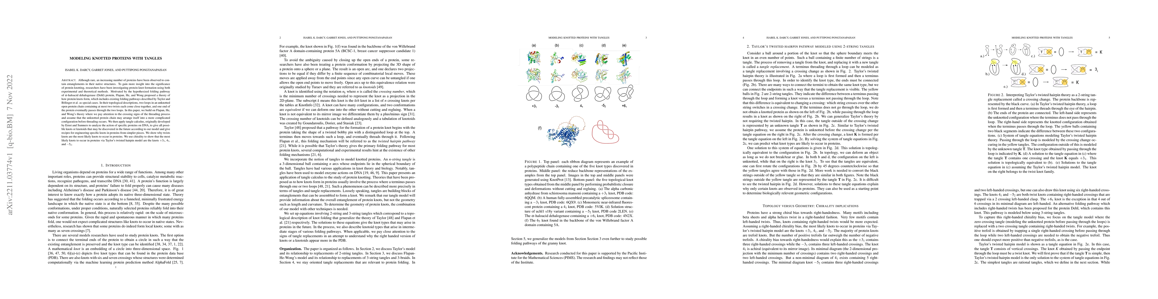 Thumbnail for Modeling knotted proteins with tangles