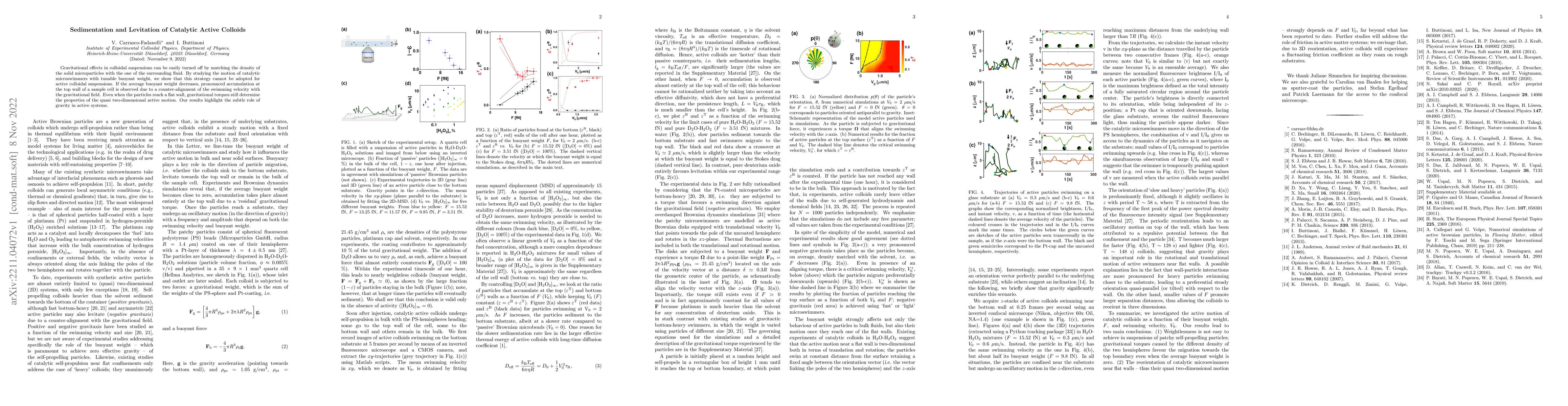 Thumbnail for Sedimentation and Levitation of Catalytic Active Colloids