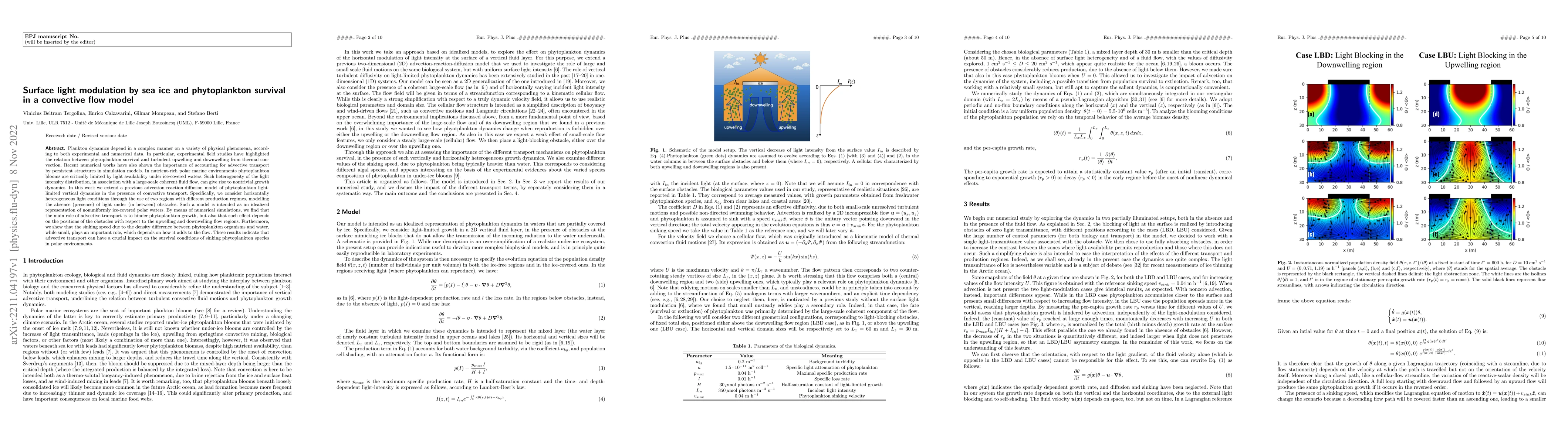 Thumbnail for Surface light modulation by sea ice and phytoplankton survival in a
  convective flow model