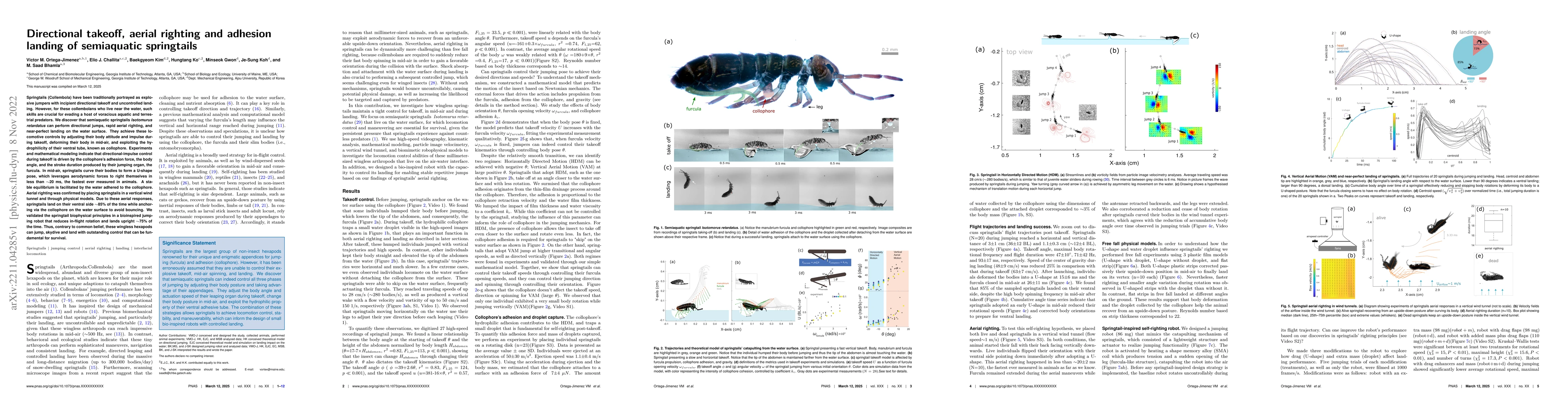 Thumbnail for Directional takeoff, aerial righting, and adhesion landing of
  semiaquatic springtails