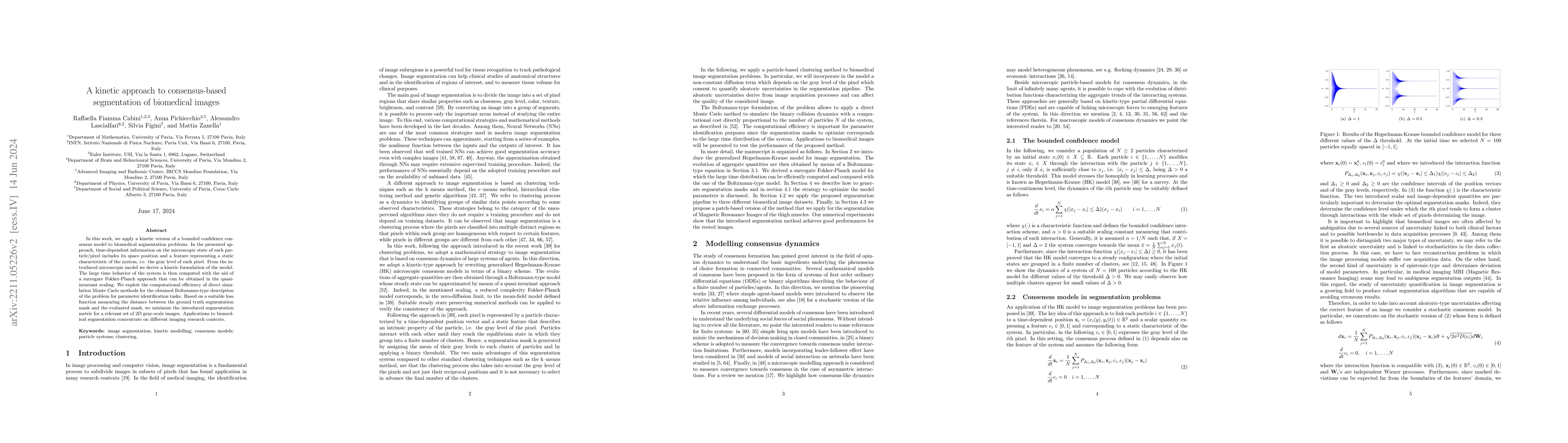Thumbnail for A kinetic approach to consensus-based segmentation of biomedical images