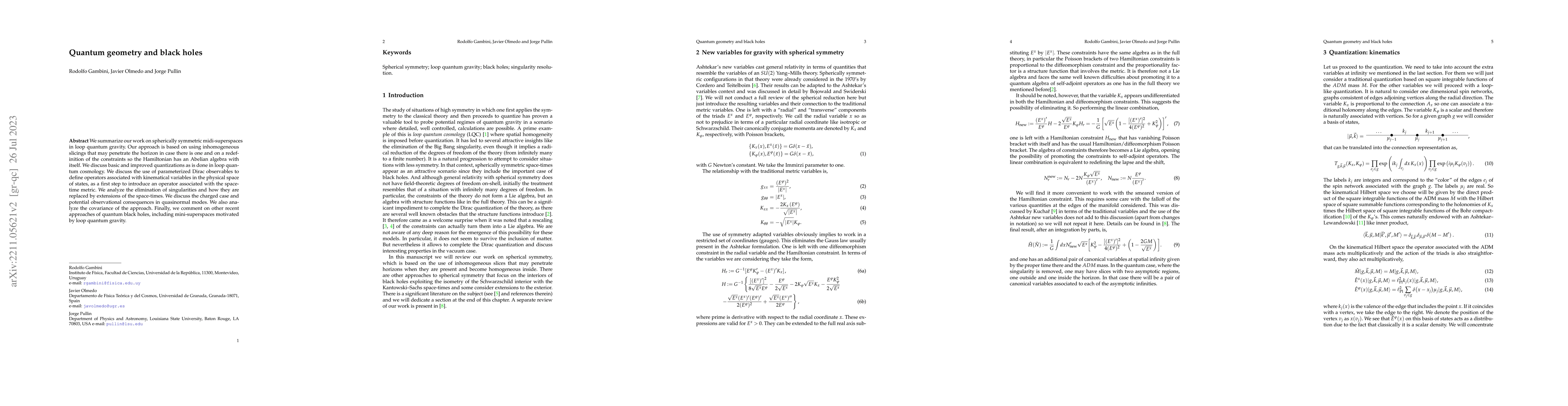 Thumbnail for Quantum geometry and black holes