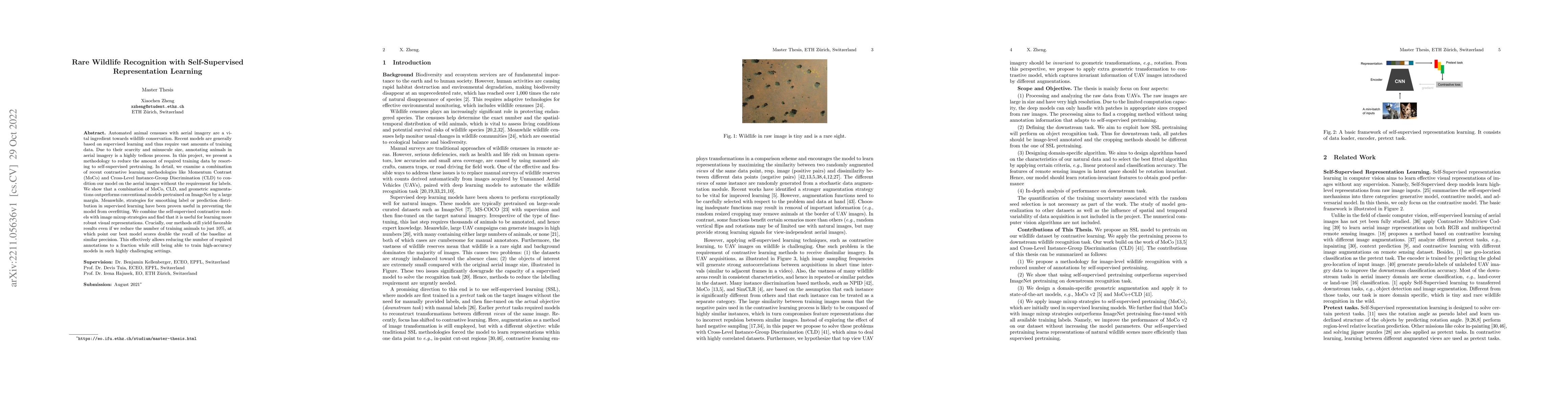 Thumbnail for Rare Wildlife Recognition with Self-Supervised Representation Learning