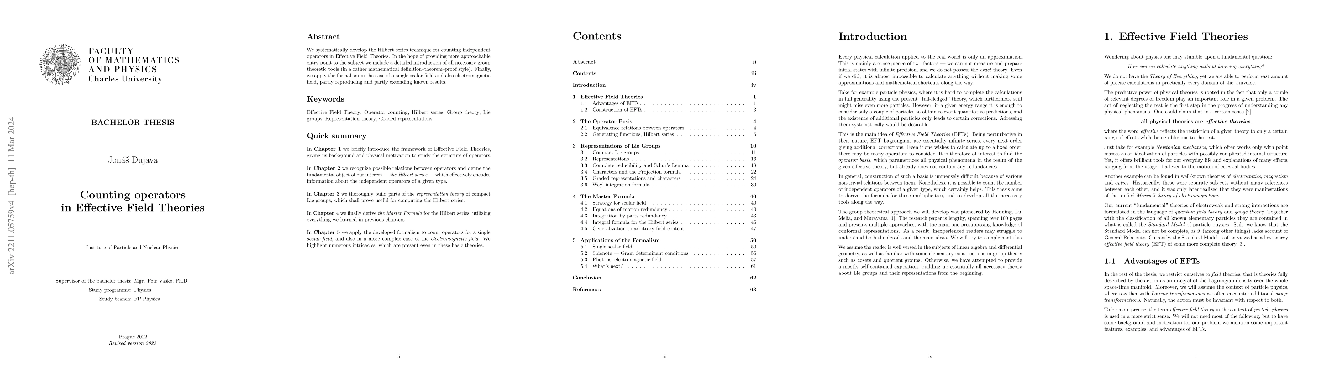 Thumbnail for Counting operators in Effective Field Theories