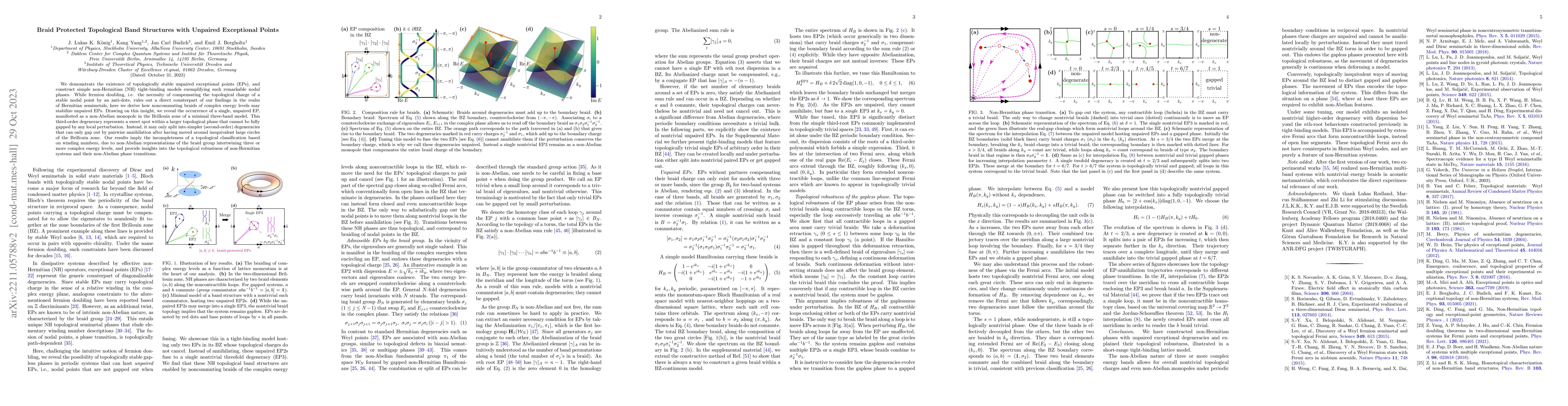 Thumbnail for Braid Protected Topological Band Structures with Unpaired Exceptional
  Points