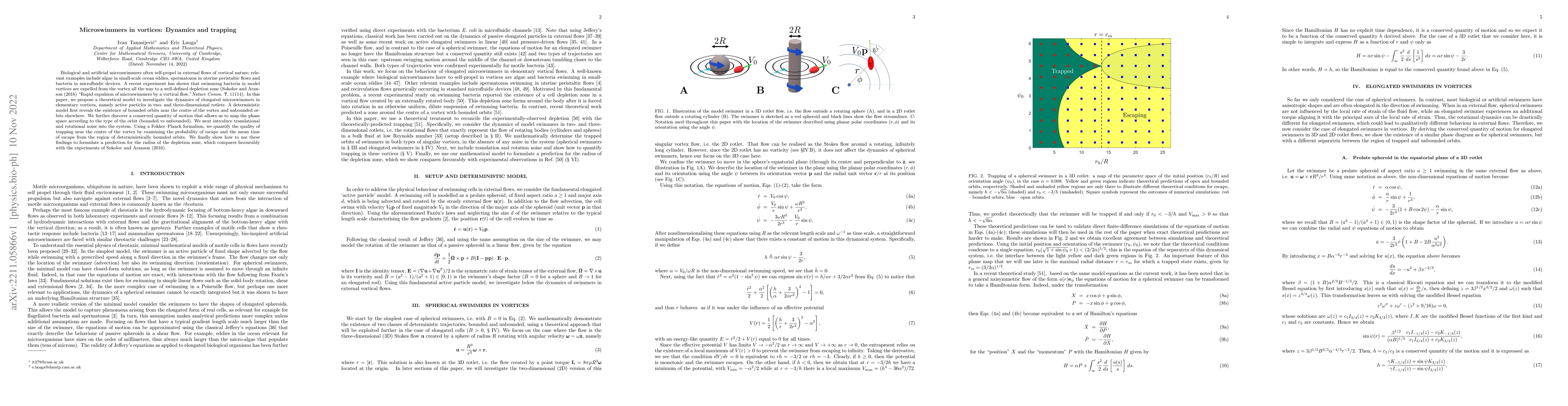 Thumbnail for Microswimmers in vortices: Dynamics and trapping