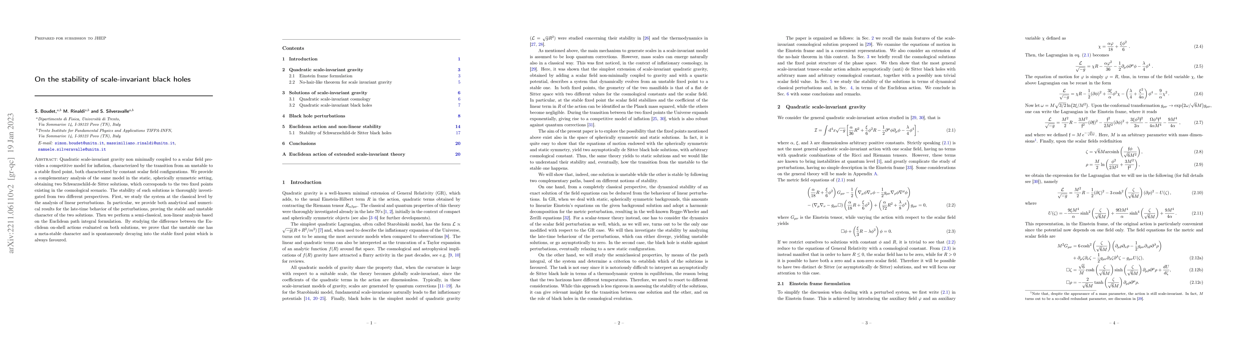Thumbnail for On the stability of scale-invariant black holes
