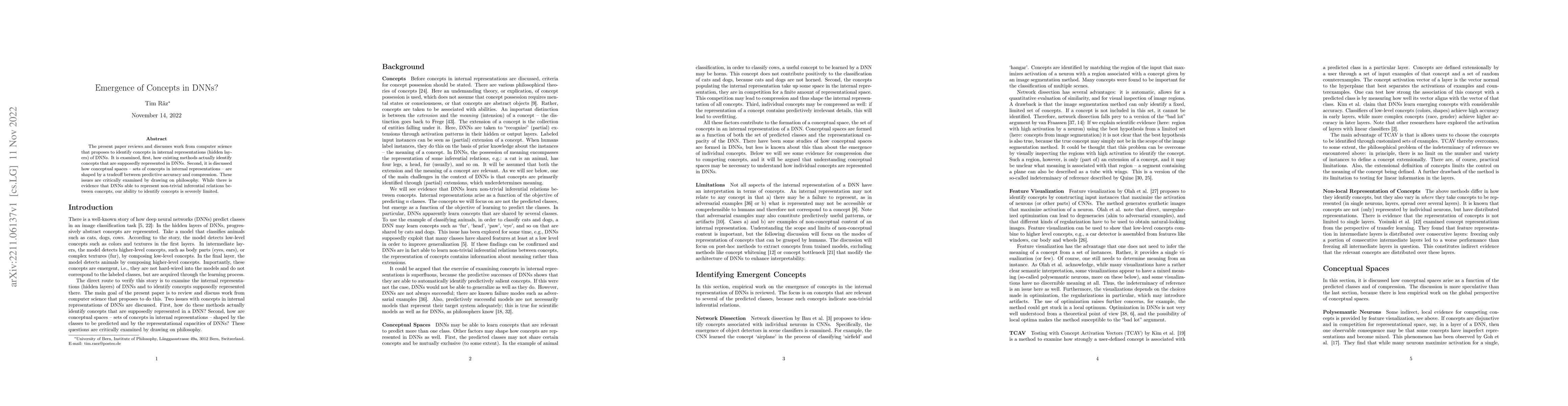 Thumbnail for Emergence of Concepts in DNNs?