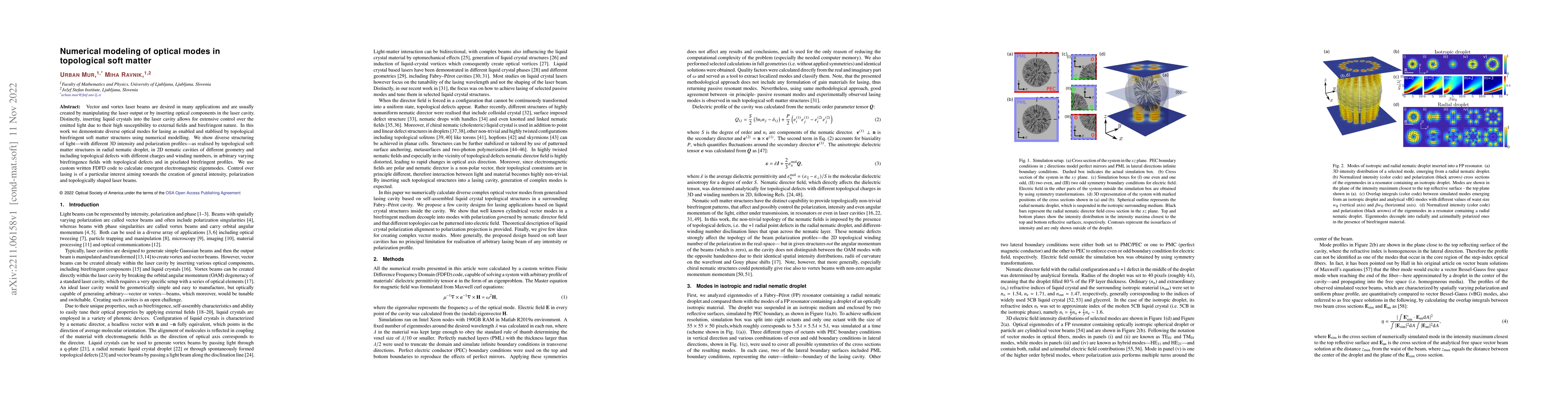 Thumbnail for Numerical modeling of optical modes in topological soft matter