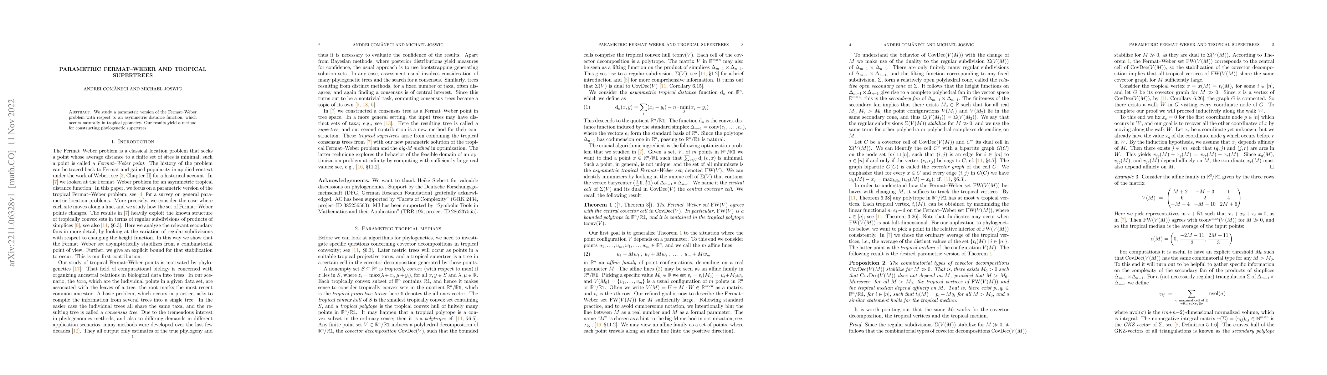 Thumbnail for Parametric Fermat-Weber and tropical supertrees