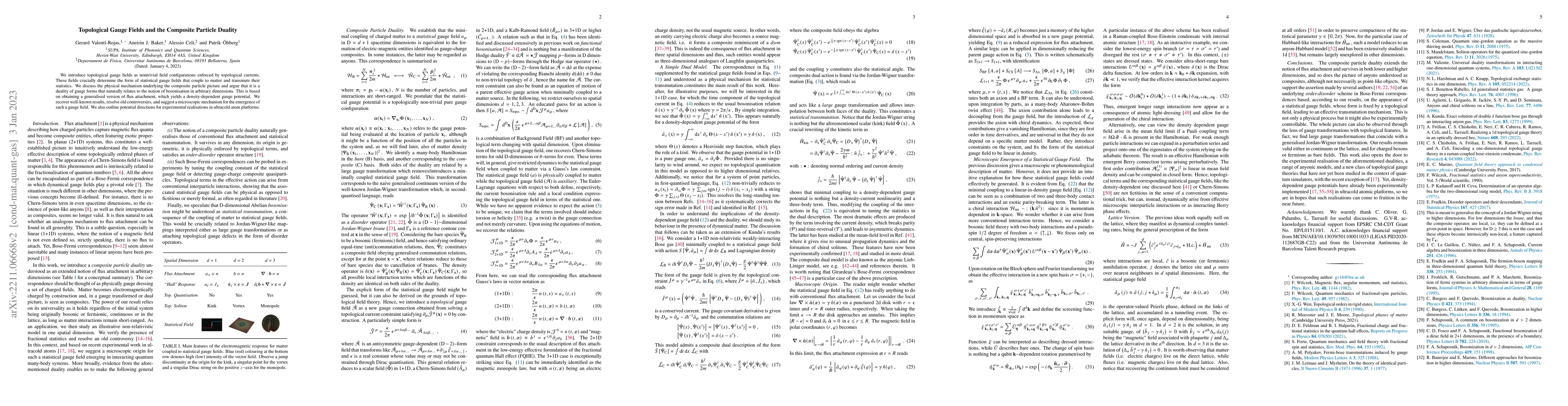 Thumbnail for Topological Gauge Fields and the Composite Particle Duality