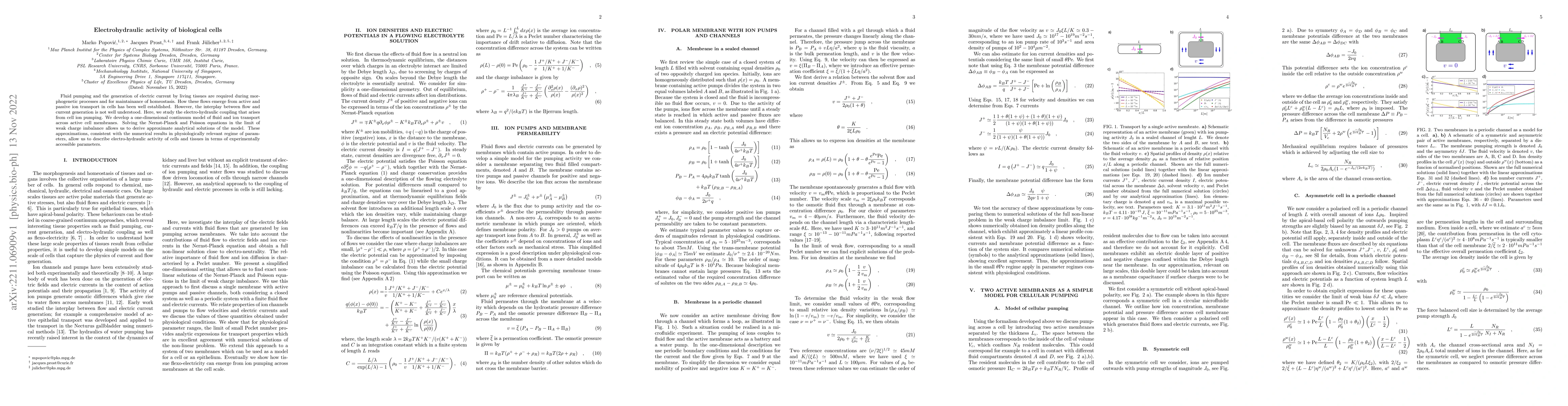 Thumbnail for Electrohydraulic activity of biological cells