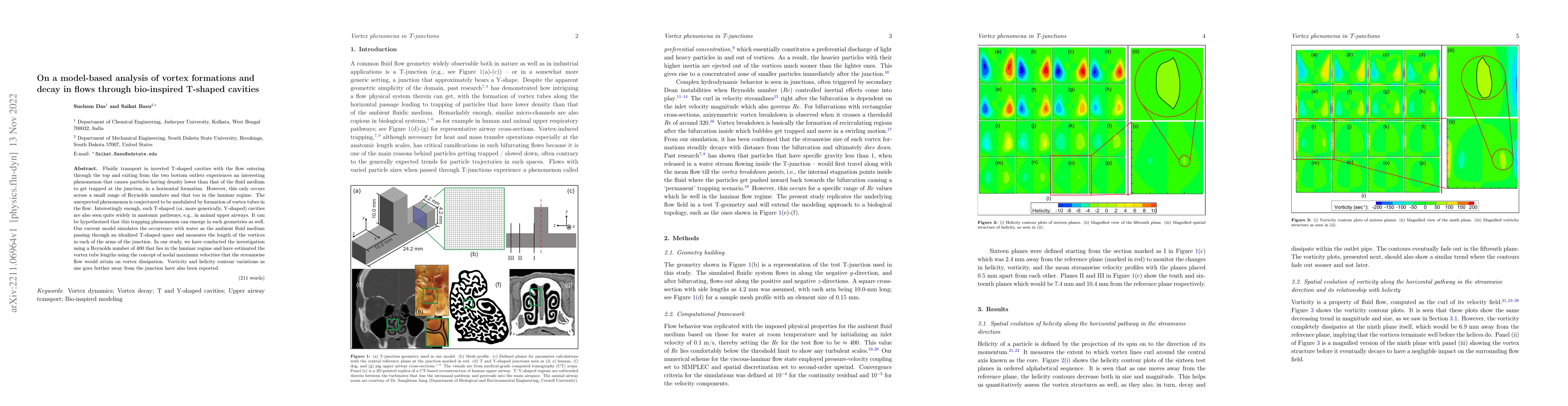 Thumbnail for On a model-based analysis of vortex formations and decay in flows
  through bio-inspired T-shaped cavities